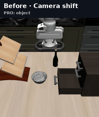 Camera shift animation